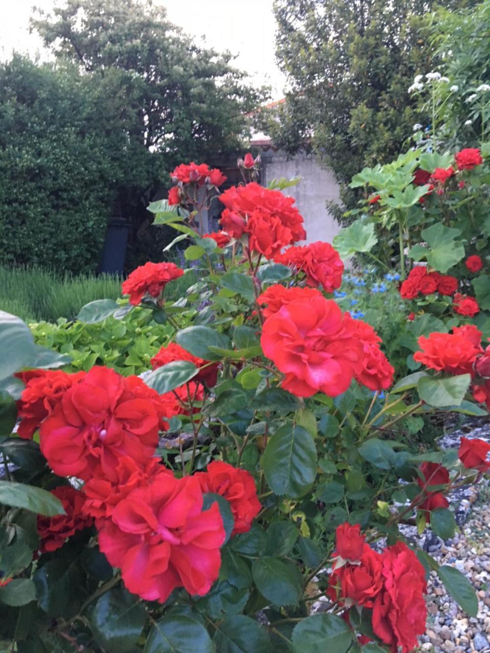 Campagn'Art Bed & Breakfast Les Fosses Exterior photo